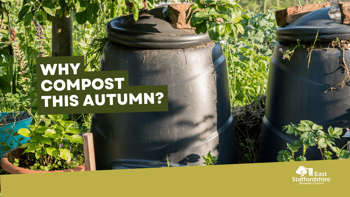 East Staffordshire launches autumn home-composting advice campaign — Burton-on-Trent news photo